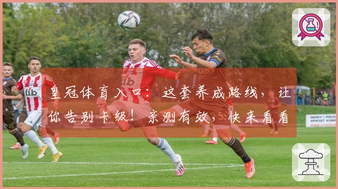 皇冠体育入口：这套养成路线，让你告别卡级！亲测有效，快来看看！