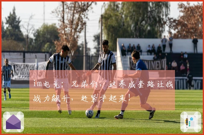 im电竞：兄弟们，这养成套路让我战力飙升，赶紧学起来！